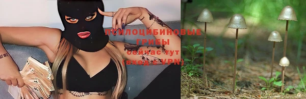 mdpv Кулебаки