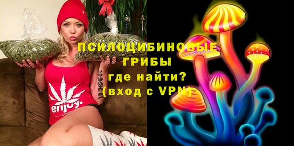 мяу мяу мука Кукмор
